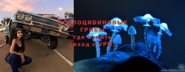 героин Няндома