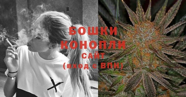 сатива Гусев