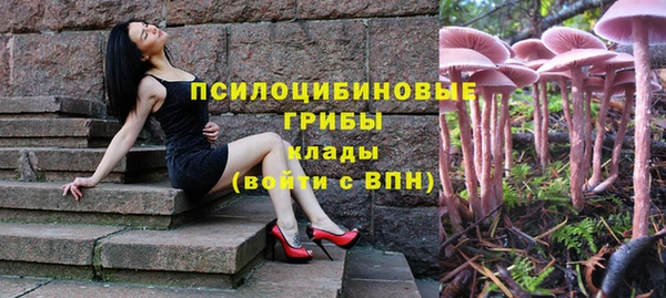 гидропоника Гусь-Хрустальный