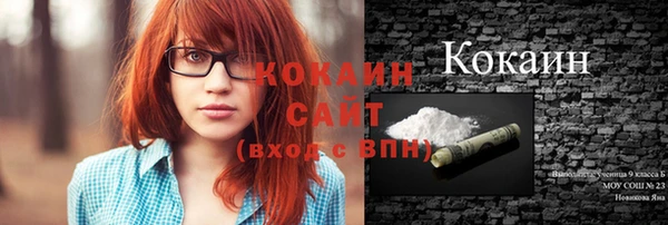 сатива Гусев