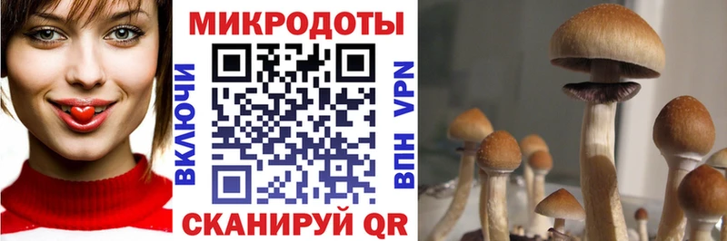Галлюциногенные грибы Magic Shrooms где можно купить Кировград